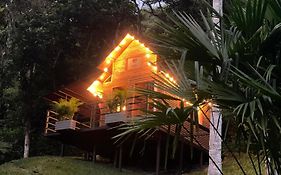 Cabañas Wilú